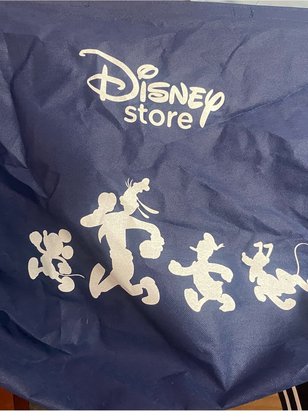 Disney Store Tote
